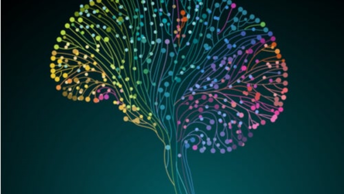 cerebro-conexiones-cerebrales-coloreadas